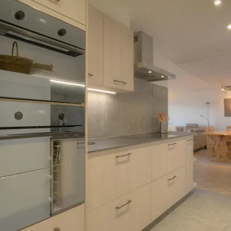 Orion 209 Au Centre A Avec Vue Sur Les Alpes Anzère