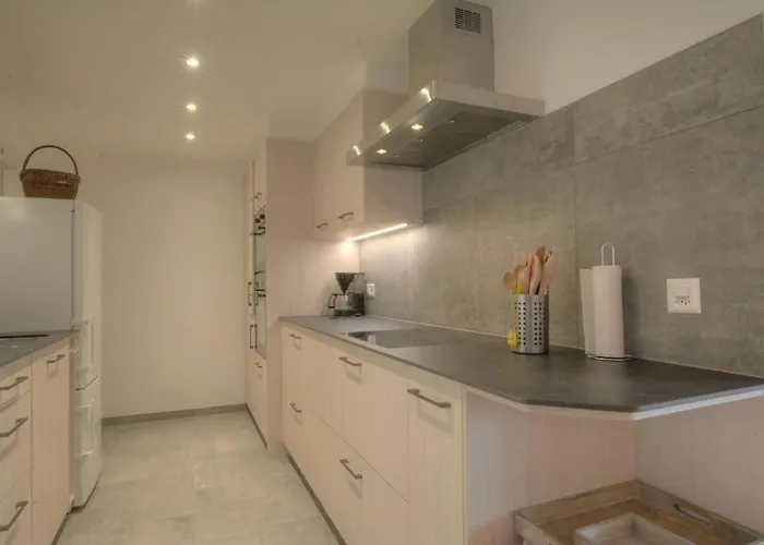 Orion 209 Au Centre A Avec Vue Sur Les Alpes Lejlighed Anzère