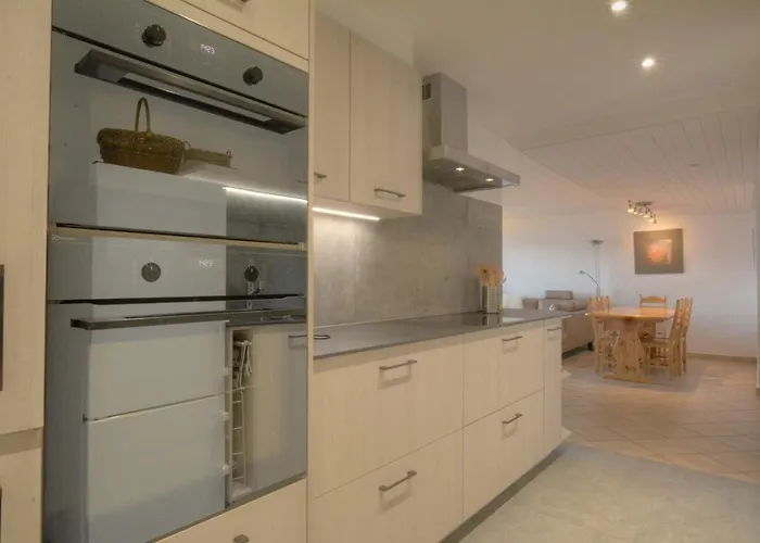 Orion 209 Au Centre A Avec Vue Sur Les Alpes Anzère